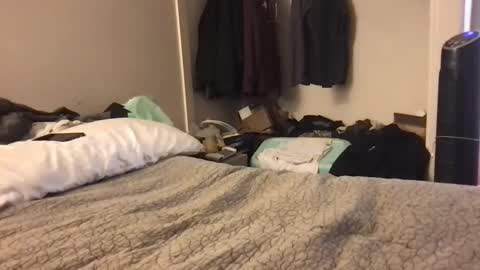 0000hi0000 online show from February 2, 4:42 am