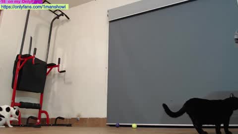 1manshow11 online show from October 29, 1:35 pm