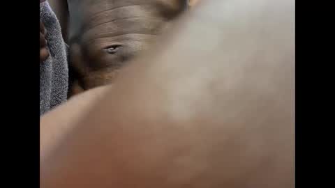 The Mystery online show from February 16, 8:01 am