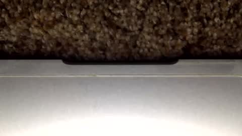 30nick online show from February 28, 8:29 am