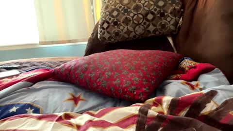 Playtime online show from December 7, 3:36 pm