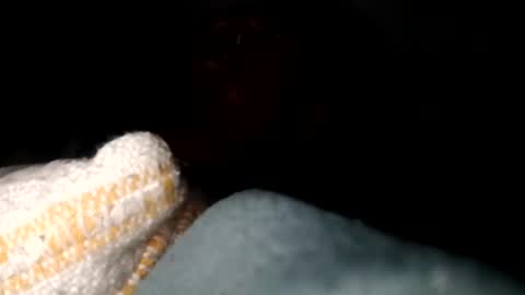 4j_n online show from April 8, 3:09 am