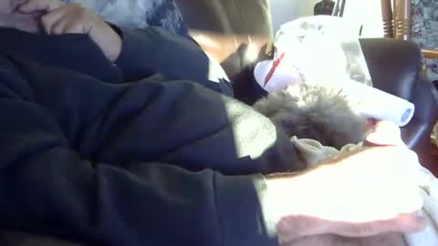 66bear online show from September 19, 11:03 am