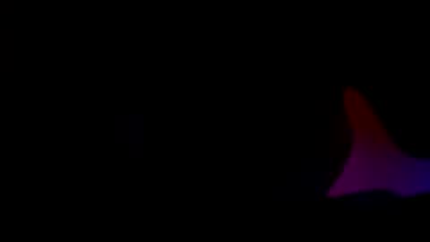 Daddy online show from November 27, 9:17 am