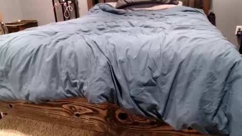 701PhuckFun online show from February 16, 12:58 pm