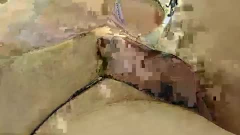 8385 online show from March 3, 12:15 am