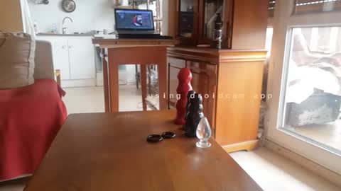 _bubble_buttfunxxx online show from October 23, 10:50 am