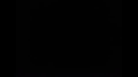 cat online show from February 5, 12:27 pm