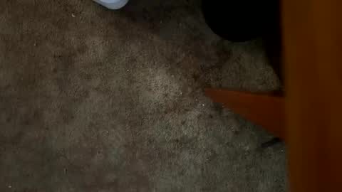 Drizzy online show from November 16, 6:32 pm