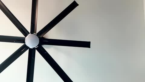 Little Wolfie online show from January 11, 10:07 pm