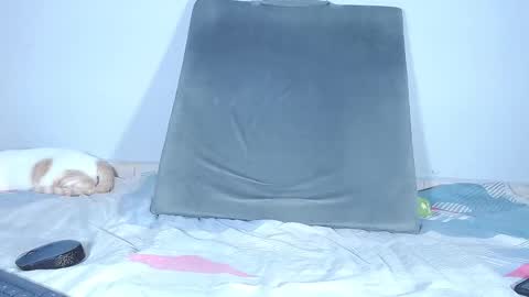 Sara online show from October 21, 10:24 pm