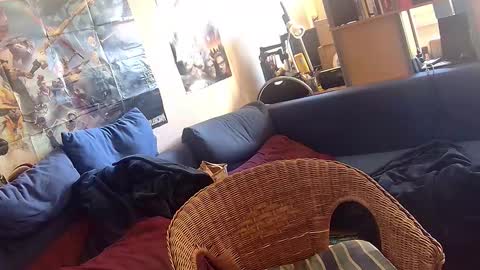 Sven online show from September 27, 12:14 pm