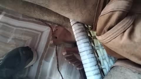 abhay online show from April 13, 4:39 am