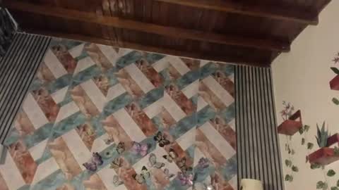addison_avery online show from July 20, 4:15 am