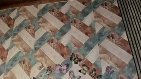 addison_avery online show from July 25, 4:43 am
