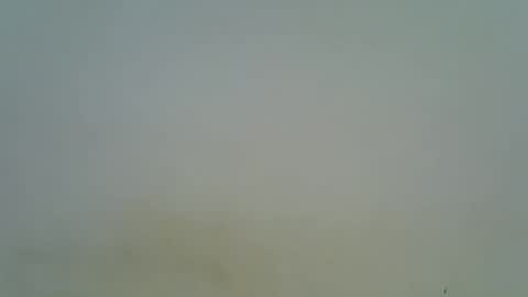 afronubians online show from March 6, 8:37 pm