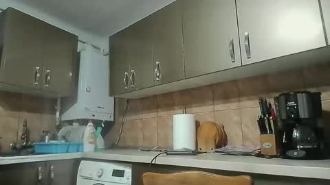 malasorte online show from February 26, 5:53 pm