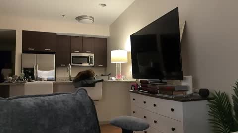 Airgead online show from November 8, 10:24 pm