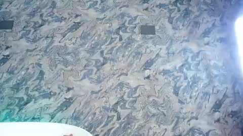 Alaia online show from February 24, 7:50 pm