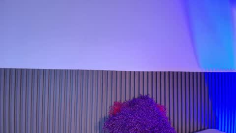 A L A N A  online show from February 19, 11:31 am