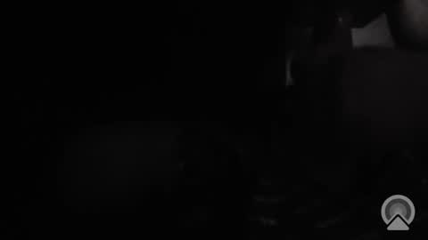 alex9717 online show from December 17, 5:58 am