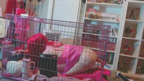 alexas_owned_bitch online show from June 27, 8:48 pm