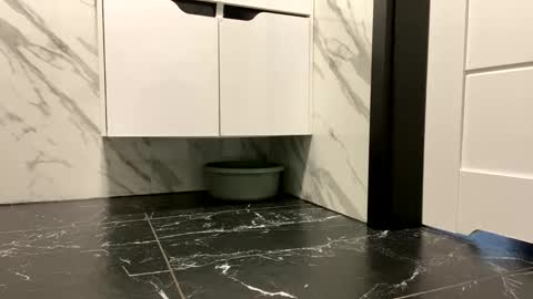 Alex online show from February 14, 2:09 pm