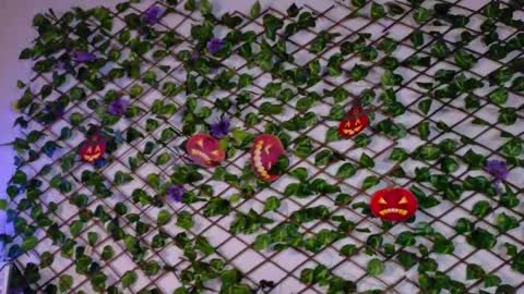 alice_rous21 online show from October 16, 7:02 pm