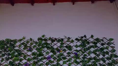 alice_rous21 online show from February 23, 1:46 pm