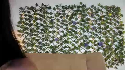 alice_rous21 online show from June 20, 3:07 pm