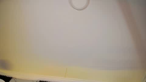 ALICE  online show from February 18, 6:57 am