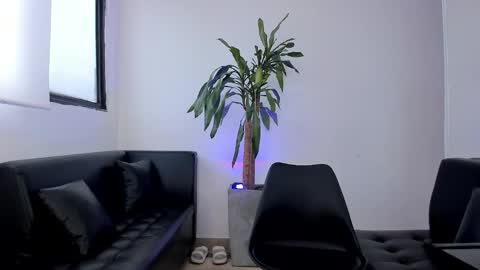 Alice online show from February 3, 12:53 pm