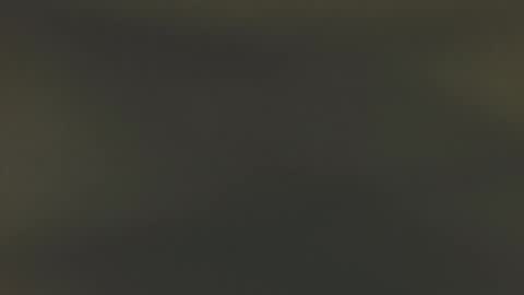 allison___taylor online show from March 21, 8:19 am