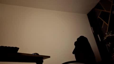 ALMMA online show from November 15, 3:57 pm