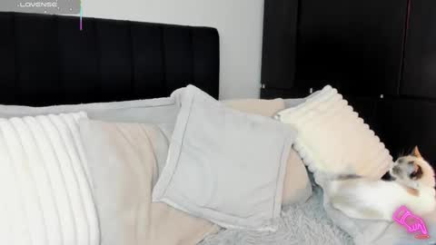 Snapshot of amara_vause chatting on February 13, 8:55 pm - A M A R A - online show from February 13, 8:55 pm