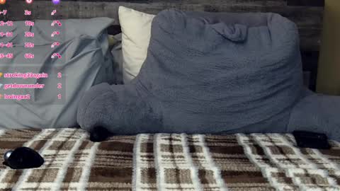 Amber Dawnn online show from February 18, 10:14 pm