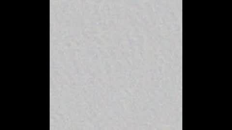 ami_berner online show from November 26, 11:51 am