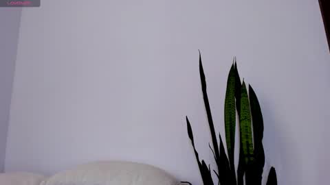 Snapshot of ammyrose_1 chatting on September 11, 3:35 pm ammy online show from September 11, 3:35 pm