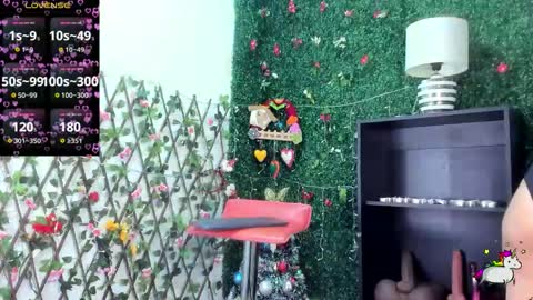 ANA online show from December 13, 11:22 pm