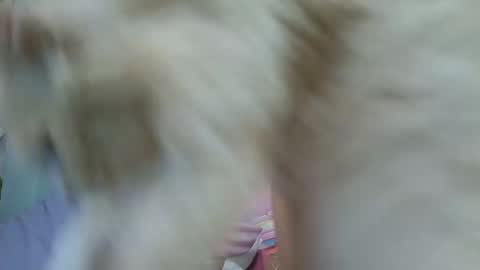 Snapshot of anawinter_s chatting on October 16, 1:27 am Ana Winters online show from October 16, 1:27 am