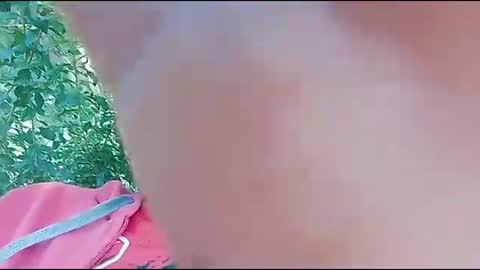 FLACO online show from January 8, 10:54 am