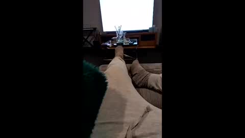 Andy online show from November 16, 10:06 am