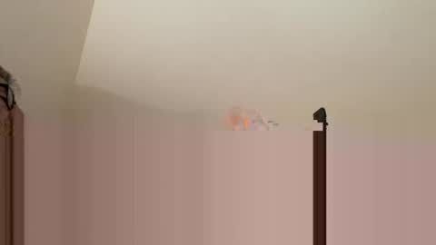 andysap online show from January 11, 1:22 pm