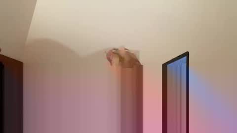 andysap online show from January 10, 1:09 pm