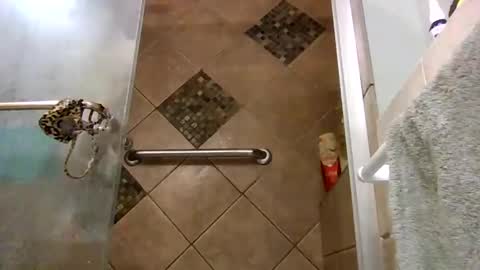 andywan94 online show from February 7, 5:10 am