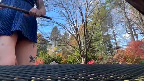 aneoakley online show from October 28, 5:58 pm