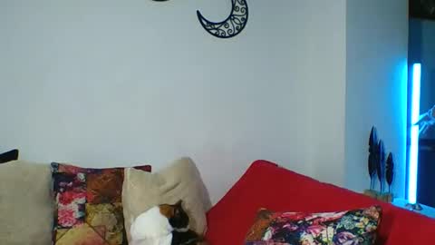  Angela  online show from April 9, 2:04 am