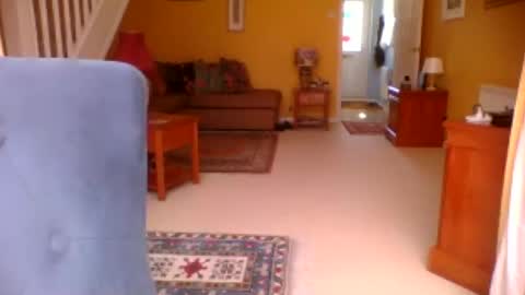 annecharlie online show from July 2, 11:48 am
