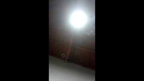 Annie  Nik online show from April 11, 7:13 am