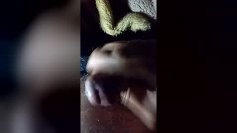 anonymous195100 online show from August 6, 8:34 am